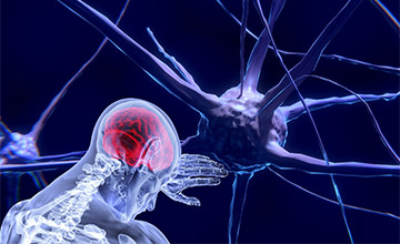 braintastic science oxford